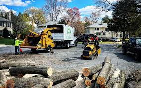 Best Tree Risk Assessment  in Taft, FL