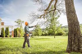 Best Tree Health Inspection  in Taft, FL